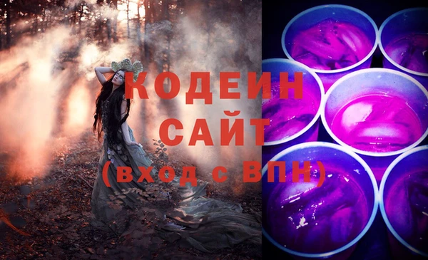 гидра Инсар
