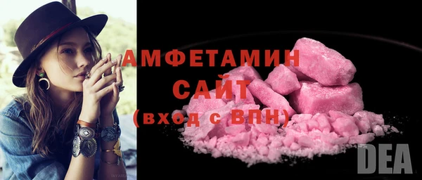 гидра Инсар