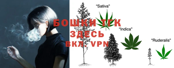 гидра Инсар