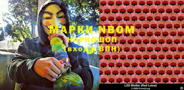 молекула духа Иннополис
