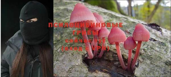 героин Инта