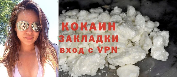 гидра Инсар