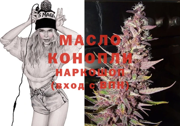 гидра Инсар