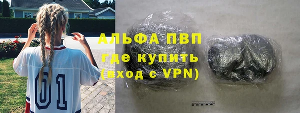 гидра Инсар