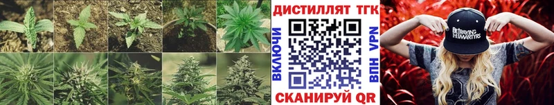 ТГК THC oil  Купить где  Дербент 